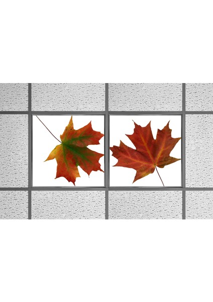 60X60 LED Panel Aydınlatma Armatür Avize Sıva Altı Desenli 1x2 Ikili Grup 46511142SA