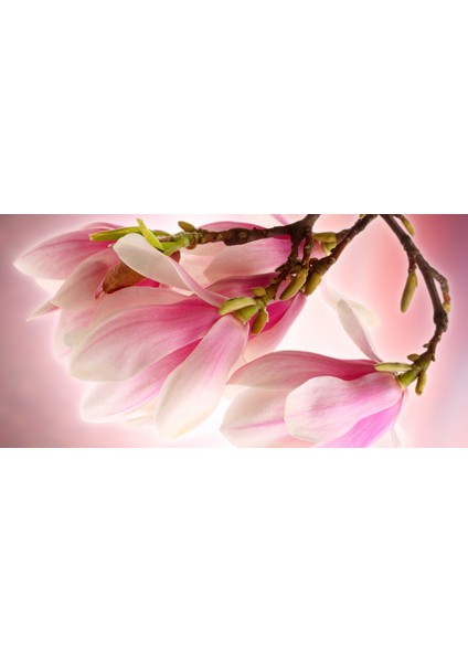 60X60 LED Panel Aydınlatma Armatür Avize Sıva Altı Desenli 1x2 Ikili Grup 46510078SA fırsatları