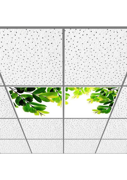 60X60 LED Panel Aydınlatma Armatür Avize Sıva Altı Desenli 1x2 Ikili Grup 46510149SA