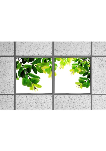 60X60 LED Panel Aydınlatma Armatür Avize Sıva Altı Desenli 1x2 Ikili Grup 46510149SA