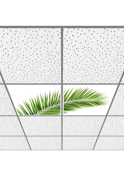 60X60 LED Panel Aydınlatma Armatür Avize Sıva Altı Desenli 1x2 Ikili Grup 46510912SA