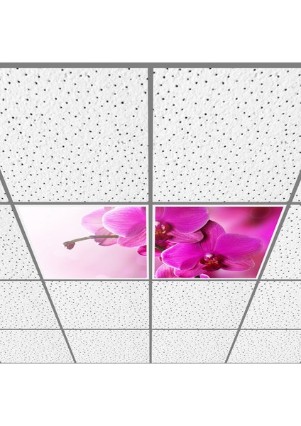 60X60 LED Panel Aydınlatma Armatür Avize Sıva Altı Desenli 1x2 Ikili Grup 46510142SA