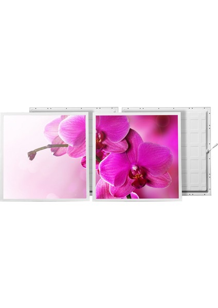 60X60 LED Panel Aydınlatma Armatür Avize Sıva Altı Desenli 1x2 Ikili Grup 46510142SA