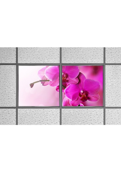 60X60 LED Panel Aydınlatma Armatür Avize Sıva Altı Desenli 1x2 Ikili Grup 46510142SA
