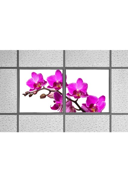 60X60 LED Panel Aydınlatma Armatür Avize Sıva Altı Desenli 1x2 Ikili Grup 46510722SA modelleri