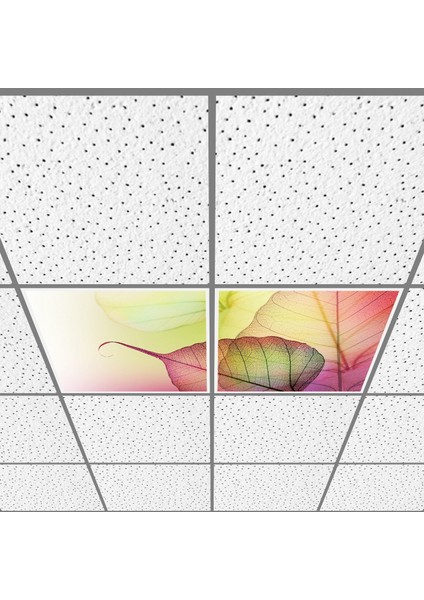 60X60 LED Panel Aydınlatma Armatür Avize Sıva Altı Desenli 1x2 Ikili Grup 46510040SA