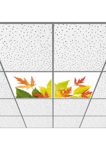 60X60 LED Panel Aydınlatma Armatür Avize Sıva Altı Desenli 1x2 Ikili Grup 46510973SA