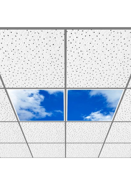 60X60 LED Panel Aydınlatma Armatür Avize Sıva Altı Desenli 1x2 Ikili Grup 46511145SA