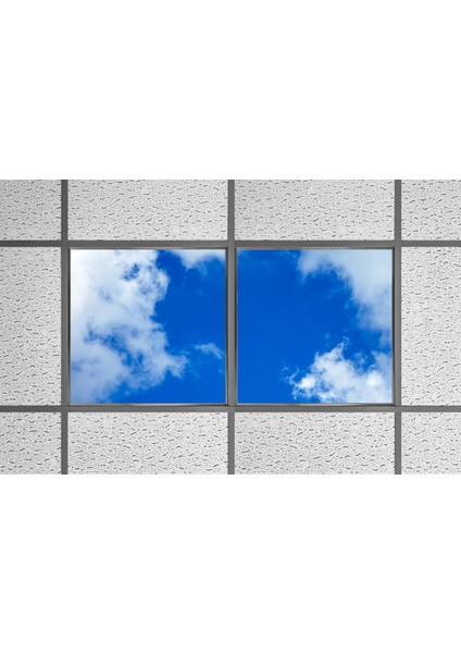 60X60 LED Panel Aydınlatma Armatür Avize Sıva Altı Desenli 1x2 Ikili Grup 46511145SA