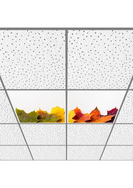 60X60 LED Panel Aydınlatma Armatür Avize Sıva Altı Desenli 1x2 Ikili Grup 46510663SA
