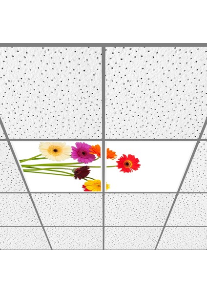 60X60 LED Panel Aydınlatma Armatür Avize Sıva Altı Desenli 1x2 Ikili Grup 46510683SA