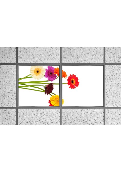60X60 LED Panel Aydınlatma Armatür Avize Sıva Altı Desenli 1x2 Ikili Grup 46510683SA