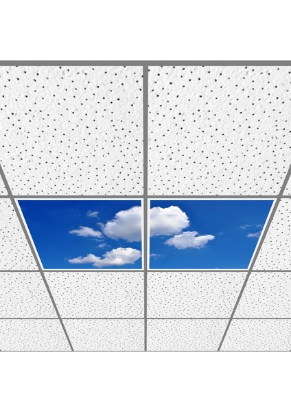 60X60 LED Panel Aydınlatma Armatür Avize Sıva Altı Desenli 1x2 Ikili Grup 46511143SA