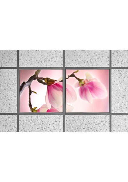 60X60 LED Panel Aydınlatma Armatür Avize Sıva Altı Desenli 1x2 Ikili Grup 46510072SA modelleri