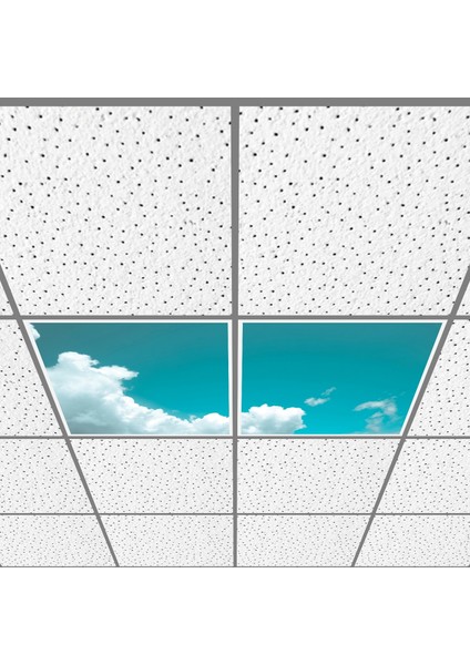 60X60 LED Panel Aydınlatma Armatür Avize Sıva Altı Desenli 1x2 Ikili Grup 46510954SA