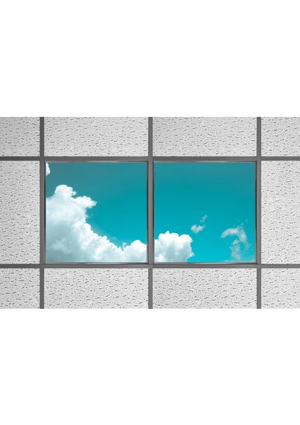60X60 LED Panel Aydınlatma Armatür Avize Sıva Altı Desenli 1x2 Ikili Grup 46510954SA