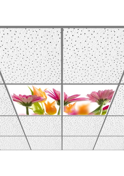 60X60 LED Panel Aydınlatma Armatür Avize Sıva Altı Desenli 1x2 Ikili Grup 46511138SA