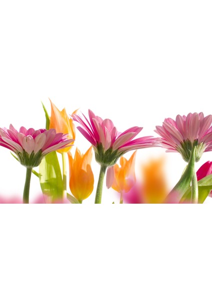 60X60 LED Panel Aydınlatma Armatür Avize Sıva Altı Desenli 1x2 Ikili Grup 46511138SA fırsatları