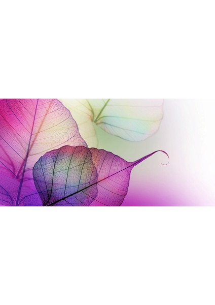 60X60 LED Panel Aydınlatma Armatür Avize Sıva Altı Desenli 1x2 Ikili Grup 46510027SA fırsatları