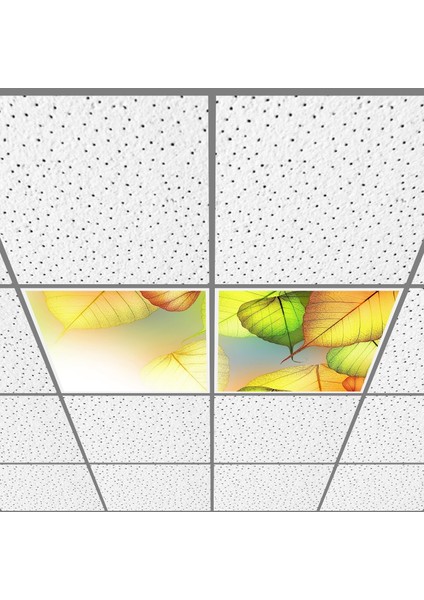 60X60 LED Panel Aydınlatma Armatür Avize Sıva Altı Desenli 1x2 Ikili Grup 46510053SA