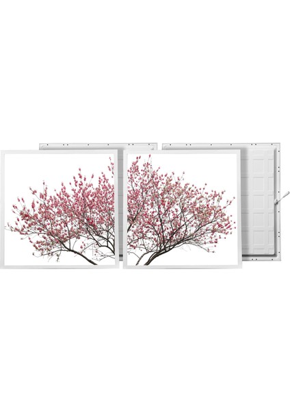 60X60 LED Panel Aydınlatma Armatür Avize Sıva Altı Desenli 1x2 Ikili Grup 46510782SA