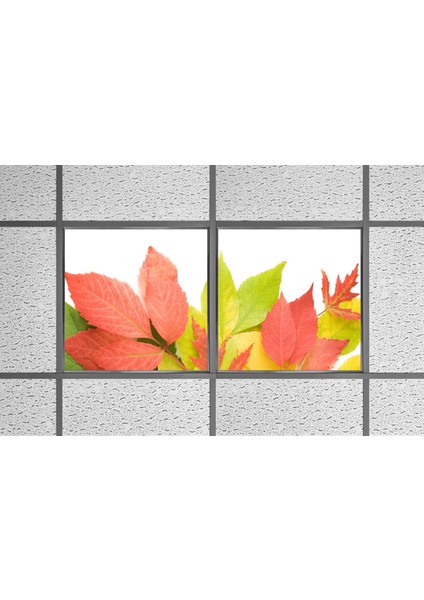 60X60 LED Panel Aydınlatma Armatür Avize Sıva Altı Desenli 1x2 Ikili Grup 46510994SA