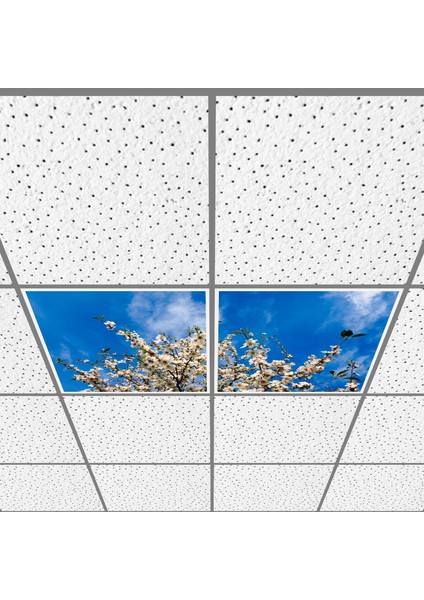 60X60 LED Panel Aydınlatma Armatür Avize Sıva Altı Desenli 1x2 Ikili Grup 46511080SA