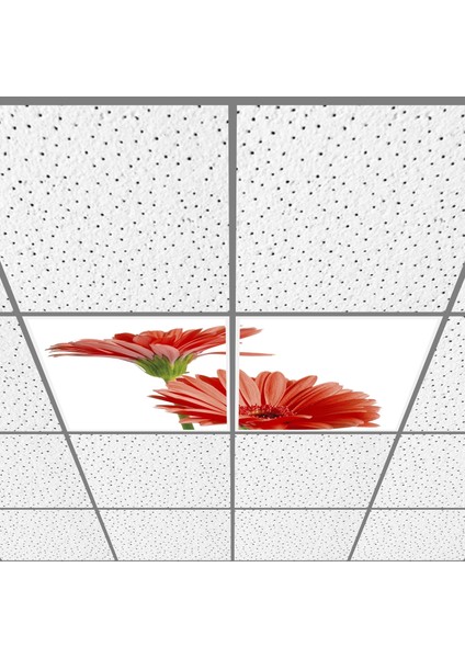 60X60 LED Panel Aydınlatma Armatür Avize Sıva Altı Desenli 1x2 Ikili Grup 46510693SA
