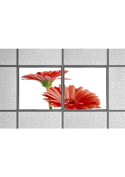 60X60 LED Panel Aydınlatma Armatür Avize Sıva Altı Desenli 1x2 Ikili Grup 46510693SA modelleri