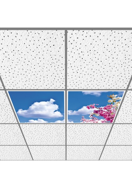 60X60 LED Panel Aydınlatma Armatür Avize Sıva Altı Desenli 1x2 Ikili Grup 46510867SA