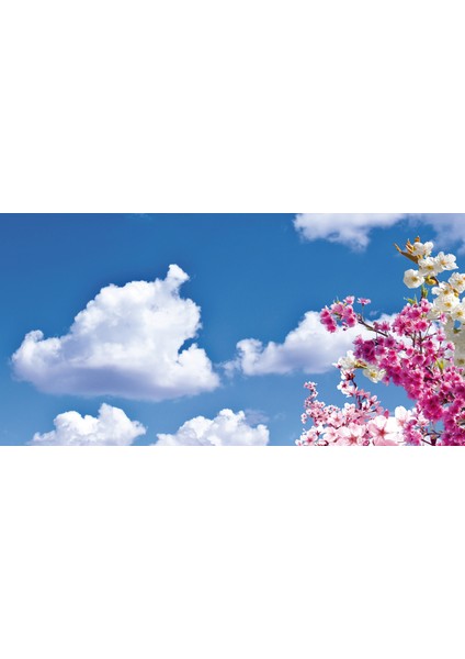 60X60 LED Panel Aydınlatma Armatür Avize Sıva Altı Desenli 1x2 Ikili Grup 46510867SA