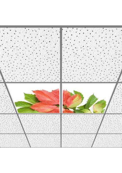 60X60 LED Panel Aydınlatma Armatür Avize Sıva Altı Desenli 1x2 Ikili Grup 46510976SA