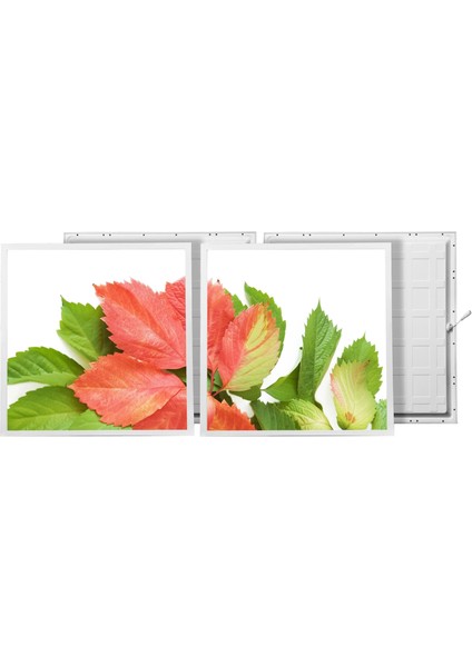60X60 LED Panel Aydınlatma Armatür Avize Sıva Altı Desenli 1x2 Ikili Grup 46510976SA fiyatları