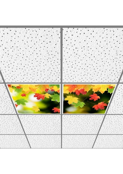 60X60 LED Panel Aydınlatma Armatür Avize Sıva Altı Desenli 1x2 Ikili Grup 46510766SA