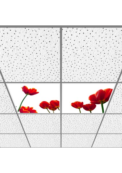 60X60 LED Panel Aydınlatma Armatür Avize Sıva Altı Desenli 1x2 Ikili Grup 46510699SA