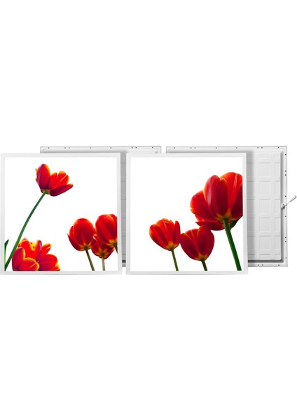 60X60 LED Panel Aydınlatma Armatür Avize Sıva Altı Desenli 1x2 Ikili Grup 46510699SA