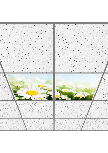 60X60 LED Panel Aydınlatma Armatür Avize Sıva Altı Desenli 1x2 Ikili Grup 46510959SA