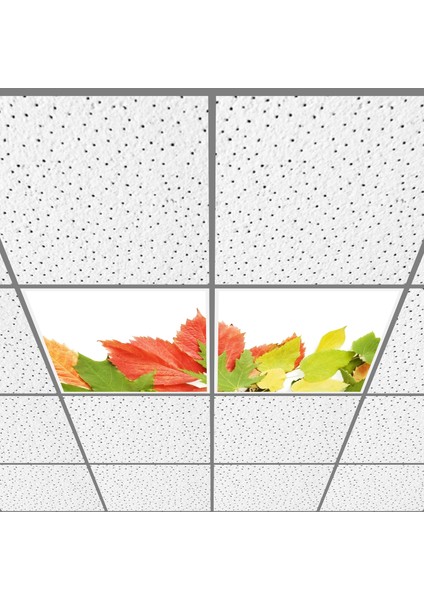 60X60 LED Panel Aydınlatma Armatür Avize Sıva Altı Desenli 1x2 Ikili Grup 46510988SA