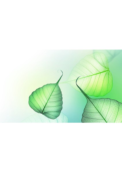 60X60 LED Panel Aydınlatma Armatür Avize Sıva Altı Desenli 1x2 Ikili Grup 46510066SA fırsatları