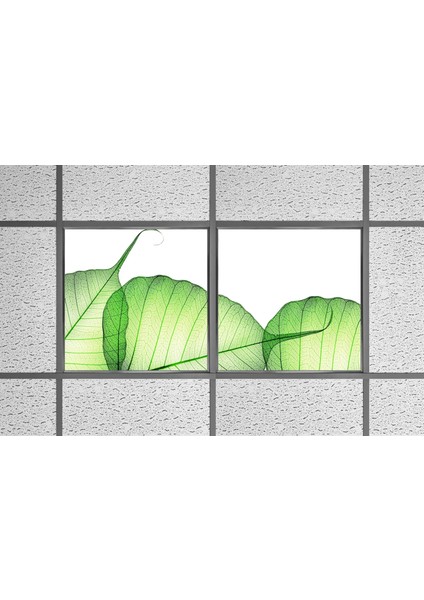 60X60 LED Panel Aydınlatma Armatür Avize Sıva Altı Desenli 1x2 Ikili Grup 46510151SA modelleri