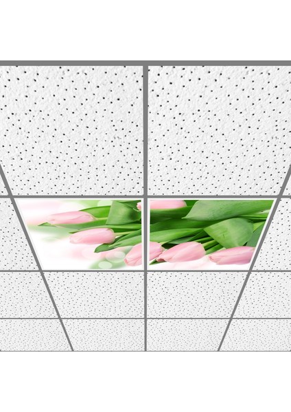 60X60 LED Panel Aydınlatma Armatür Avize Sıva Altı Desenli 1x2 Ikili Grup 46510778SA