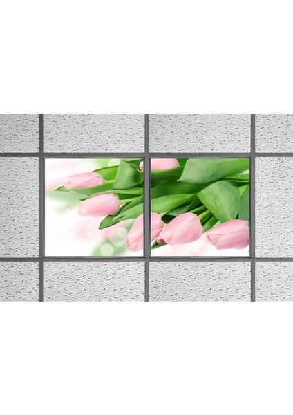 60X60 LED Panel Aydınlatma Armatür Avize Sıva Altı Desenli 1x2 Ikili Grup 46510778SA