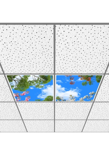 60X60 LED Panel Aydınlatma Armatür Avize Sıva Altı Desenli 1x2 Ikili Grup 46510998SA