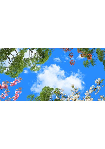 60X60 LED Panel Aydınlatma Armatür Avize Sıva Altı Desenli 1x2 Ikili Grup 46510998SA