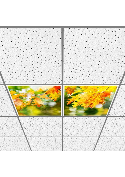 60X60 LED Panel Aydınlatma Armatür Avize Sıva Altı Desenli 1x2 Ikili Grup 46510764SA