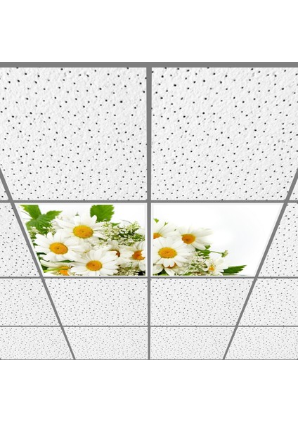 60X60 LED Panel Aydınlatma Armatür Avize Sıva Altı Desenli 1x2 Ikili Grup 46510696SA