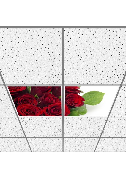 60X60 LED Panel Aydınlatma Armatür Avize Sıva Altı Desenli 1x2 Ikili Grup 46510703SA