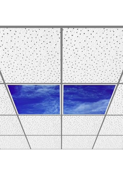 60X60 LED Panel Aydınlatma Armatür Avize Sıva Altı Desenli 1x2 Ikili Grup 46510952SA