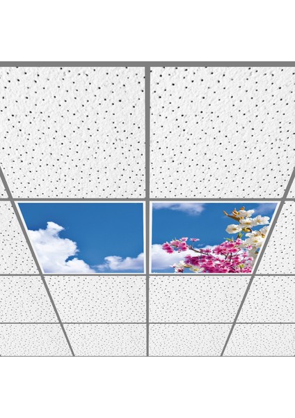 60X60 LED Panel Aydınlatma Armatür Avize Sıva Altı Desenli 1x2 Ikili Grup 46510155SA