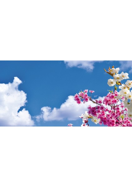 60X60 LED Panel Aydınlatma Armatür Avize Sıva Altı Desenli 1x2 Ikili Grup 46510155SA